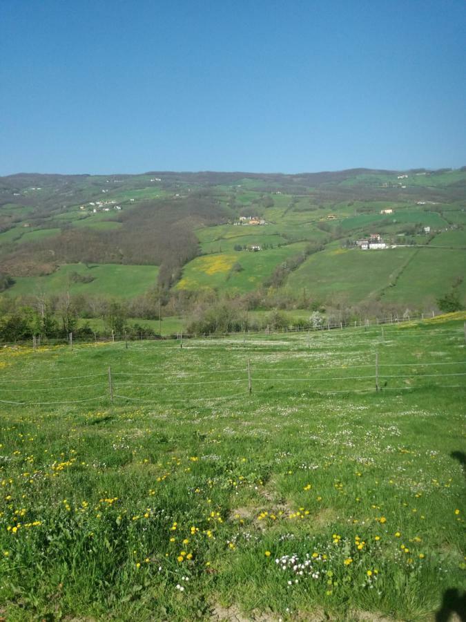 Fattoria Ca' Di Fatino Bed & Breakfast Castiglione dei Pepoli Eksteriør bilde